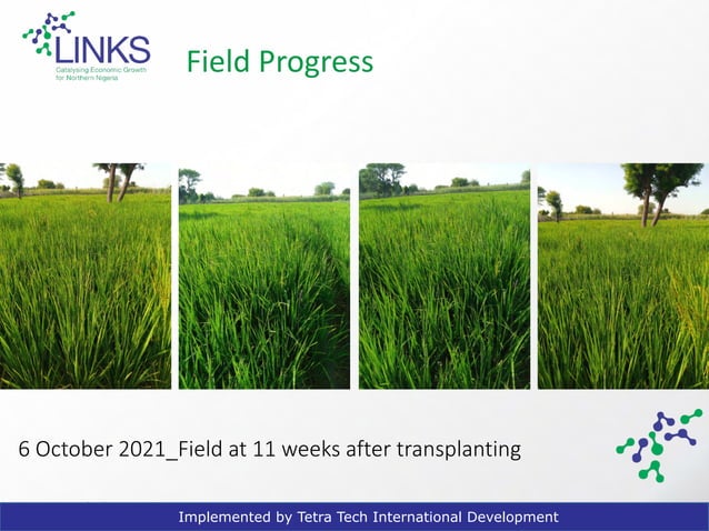 2103 - Reduced Methane Emissions Rice Production Project in Northern ...