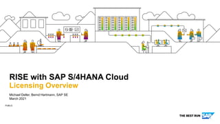 210316_rise_with_sap_s4hana_cloud_license_overview.pdf