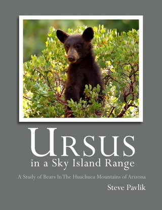 Ursusin a Sky Island Range
A Study of Bears InThe Huachuca Mountains of Arizona
Steve Pavlik
 