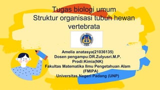 Amelia anatasya(21036135)
Dosen pengampu:DR.Zulyusri.M.P.
Prodi:Kimia(NK)
Fakultas Matematika Ilmu Pengetahuan Alam
(FMIPA)
Universitas Negeri Padang (UNP)
Tugas biologi umum
Struktur organisasi tubuh hewan
vertebrata
 