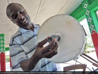 En Haïti, un système d’irrigation au goutte à goutte a été mis en place avec le Mouvement paysan Papaye.
 