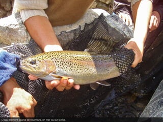 L’eau, élément source de nourriture, en mer ou sur la rive.
 