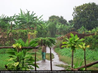 Si la majeure partie du continent africain est considérée comme aride ou semi-aride, l’eau peut y abonder pour désaltérer la terre, ici au
 