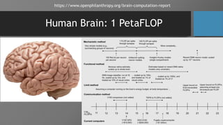 Human Brain: 1 PetaFLOP
https://www.openphilanthropy.org/brain-computation-report
 