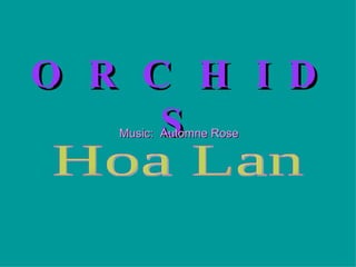 O R C H I D S Music:  Automne Rose Hoa Lan 