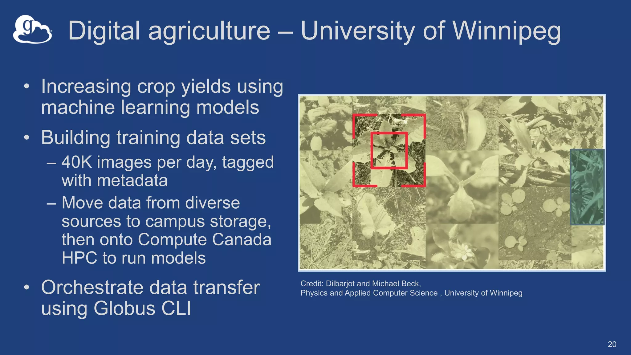 Digital agriculture – University of Winnipeg
• Increasing crop yields using
machine learning models
• Building training data sets
– 40K images per day, tagged
with metadata
– Move data from diverse
sources to campus storage,
then onto Compute Canada
HPC to run models
• Orchestrate data transfer
using Globus CLI
20
Credit: Dilbarjot and Michael Beck,
Physics and Applied Computer Science , University of Winnipeg
 