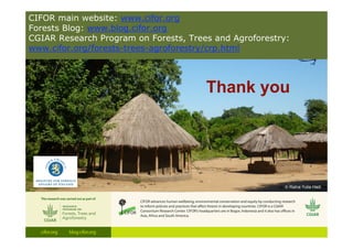 Thank you
CIFOR main website: www.cifor.org
Forests Blog: www.blog.cifor.org
CGIAR Research Program on Forests, Trees and ...