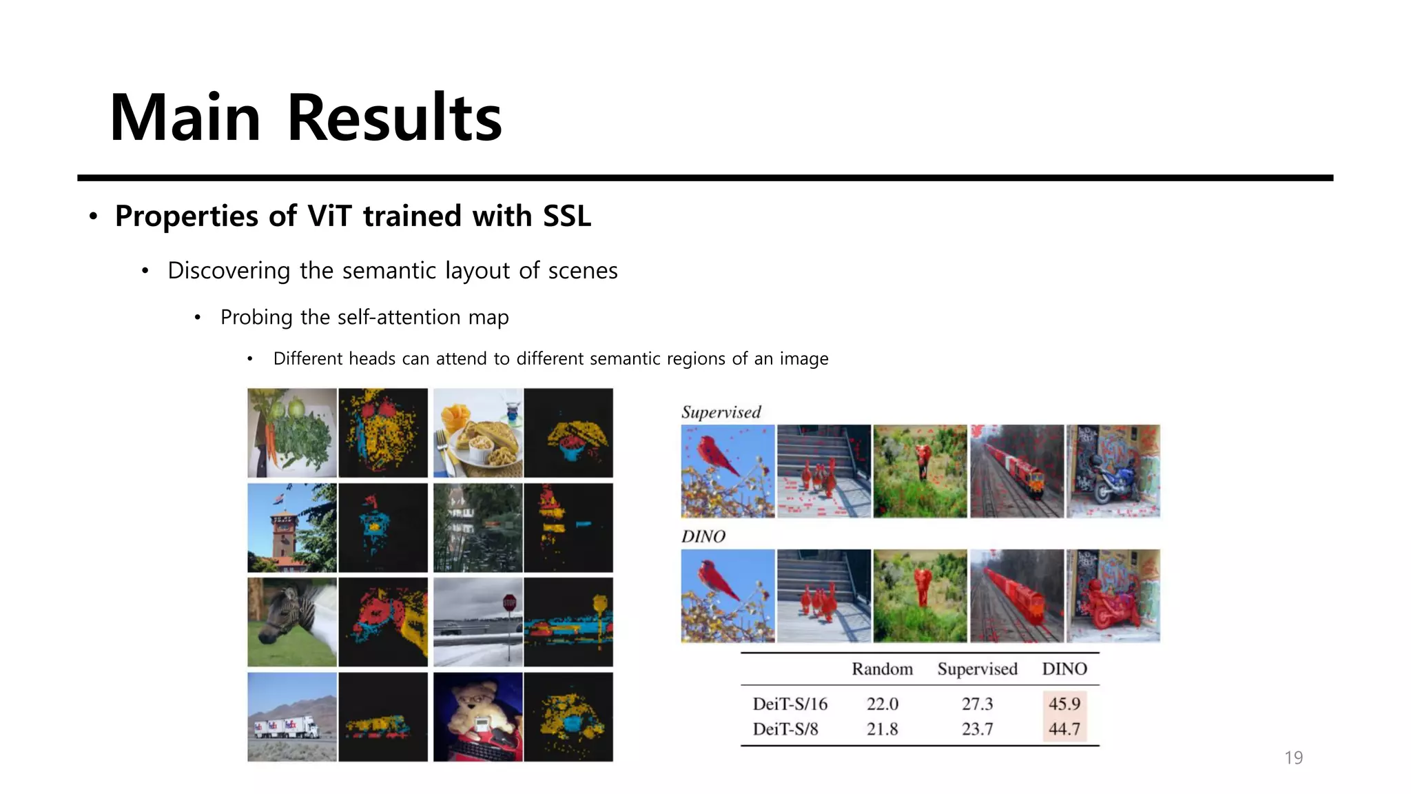 Main Results
19
• Properties of ViT trained with SSL
• Discovering the semantic layout of scenes
• Probing the self-attention map
• Different heads can attend to different semantic regions of an image
 