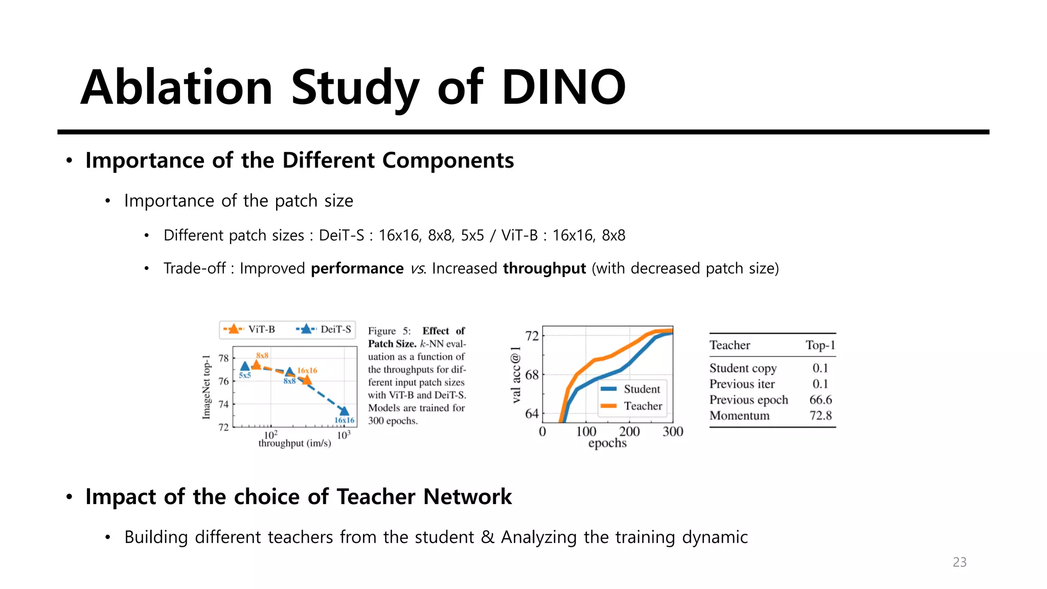 Ablation Study of DINO
23
• Importance of the Different Components
• Importance of the patch size
• Different patch sizes : DeiT-S : 16x16, 8x8, 5x5 / ViT-B : 16x16, 8x8
• Trade-off : Improved performance vs. Increased throughput (with decreased patch size)
• Impact of the choice of Teacher Network
• Building different teachers from the student & Analyzing the training dynamic
 