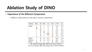 Ablation Study of DINO
22
• Importance of the Different Components
• Different model variants as we add or remove components
 