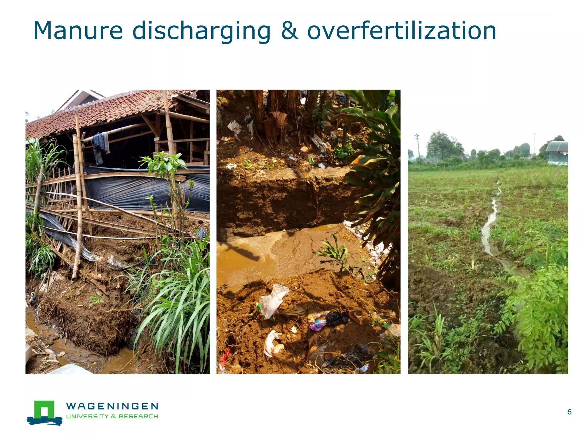 Manure discharging & overfertilization
6