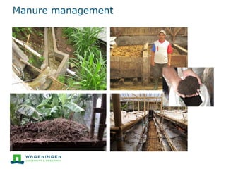 ADB ESLAP Case Study "Dairy value chain in Indonesia"