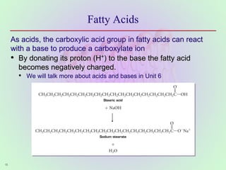 15
Fatty Acids
As acids, the carboxylic acid group in fatty acids can react
with a base to produce a carboxylate ion
• By donating its proton (H+) to the base the fatty acid
becomes negatively charged.
• We will talk more about acids and bases in Unit 6
 