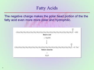 16
Fatty Acids
The negative charge makes the polar head portion of the the
fatty acid even more more polar and hydrophilic.
 