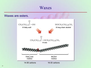 40
Waxes
Waxes are esters.
14-36 carbons 16-30 carbons
 
