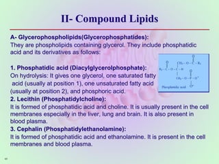 II- Compound Lipids
A- Glycerophospholipids(Glycerophosphatides):
They are phospholipids containing glycerol. They include phosphatidic
acid and its derivatives as follows:
1. Phosphatidic acid (Diacylglycerolphosphate):
On hydrolysis: It gives one glycerol, one saturated fatty
acid (usually at position 1), one unsaturated fatty acid
(usually at position 2), and phosphoric acid.
2. Lecithin (Phosphatidylcholine):
It is formed of phosphatidic acid and choline. It is usually present in the cell
membranes especially in the liver, lung and brain. It is also present in
blood plasma.
3. Cephalin (Phosphatidylethanolamine):
It is formed of phosphatidic acid and ethanolamine. It is present in the cell
membranes and blood plasma.
46
 