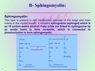 B- Sphingomyelin:
Sphingomyelin:
This type is present in cell membranes specially of the lungs and brain
mainly in the myelin sheath. It contains sphingosine (sphingol) which is
an 18 carbon amino alcohol. Fatty acids are linked to sphingosine by
an amide bond to form ceramide, which is connected to
phoshocholine to form sphingomyelin.
50
 