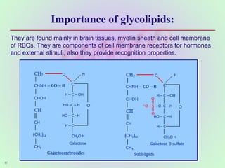 Importance of glycolipids:
They are found mainly in brain tissues, myelin sheath and cell membrane
of RBCs. They are components of cell membrane receptors for hormones
and external stimuli, also they provide recognition properties.
57
 