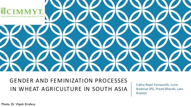 GENDER AND FEMINIZATION PROCESSES
IN WHEAT AGRICULTURE IN SOUTH ASIA
Cathy Rozel Farnworth, Lone
Badstue (PI), Preeti Bhar...