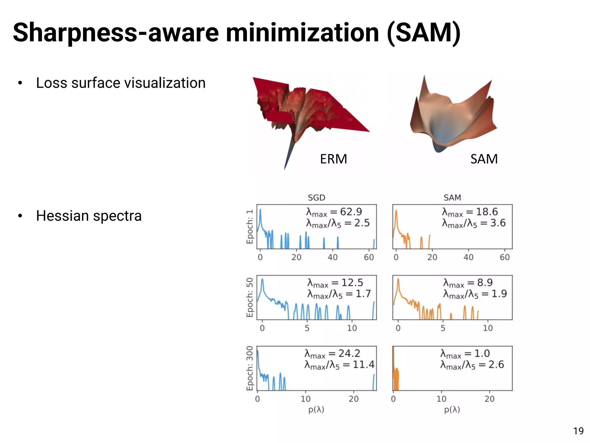 • Loss surface visualization
• Hessian spectra
Sharpness-aware minimization (SAM)
19
ERM SAM
 