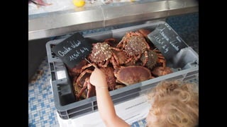 Ile de Re, Les Portes-de-Re