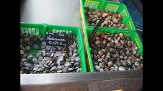 Ile de Re, Les Portes-de-Re