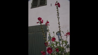 Ile de Re, Les Portes-de-Re