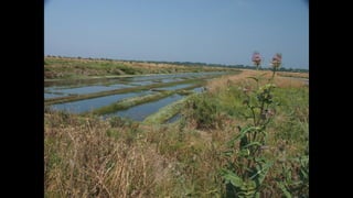 Ile de Re, Les Portes-de-Re