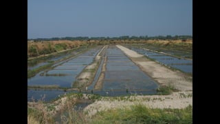 Ile de Re, Les Portes-de-Re