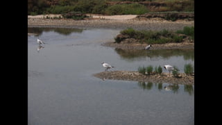 Ile de Re, Les Portes-de-Re