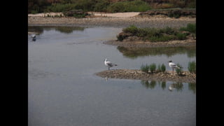 Ile de Re, Les Portes-de-Re