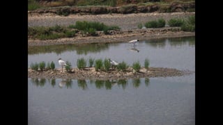 Ile de Re, Les Portes-de-Re