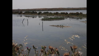 Ile de Re, Les Portes-de-Re