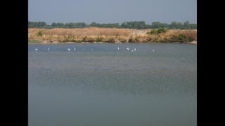 Ile de Re, Les Portes-de-Re