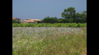 Ile de Re, Les Portes-de-Re
