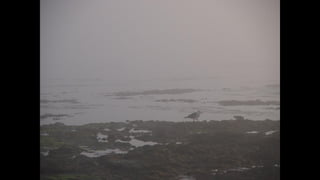 Ile de Re, Les Portes-de-Re