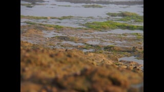 Ile de Re, Les Portes-de-Re