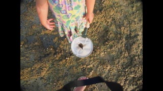 Ile de Re, Les Portes-de-Re