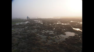 Ile de Re, Les Portes-de-Re