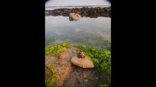 Ile de Re, Les Portes-de-Re