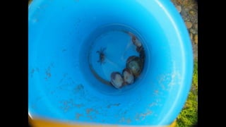 Ile de Re, Les Portes-de-Re