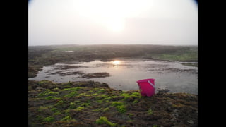 Ile de Re, Les Portes-de-Re