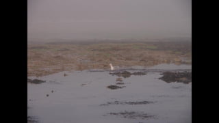 Ile de Re, Les Portes-de-Re