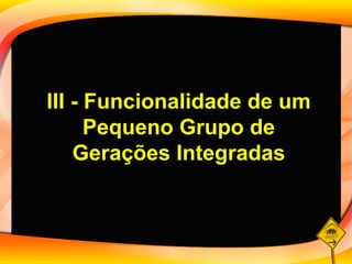 III - Funcionalidade de um Pequeno Grupo de Gerações Integradas 