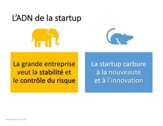 La grande entreprise
veut la stabilité et
le contrôle du risque
La startup carbure
à la nouveauté
et à l’innovation
L’ADN de la startup
©2021 Davender Gupta. Tous droits réservés.
 