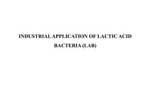Industrial Applications and Biotechnological Advances of Lactic Acid ...