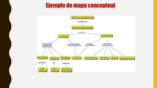 Ejemplo de mapa conceptual
 