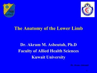 The Anatomy of the Lower Limb


  Dr. Akram M. Asbeutah, Ph.D
 Faculty of Allied Health Sciences
        Kuwait University
                             Dr. Akram Asbeutah

                                            8-
 