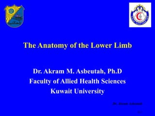 The Anatomy of the Lower Limb


  Dr. Akram M. Asbeutah, Ph.D
 Faculty of Allied Health Sciences
        Kuwait University
                             Dr. Akram Asbeutah

                                            8-1
 