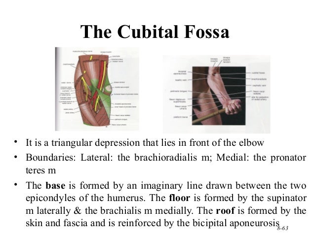 indications that radia nerve damage may not be permanent indications that radia nerve damage may not be permanent